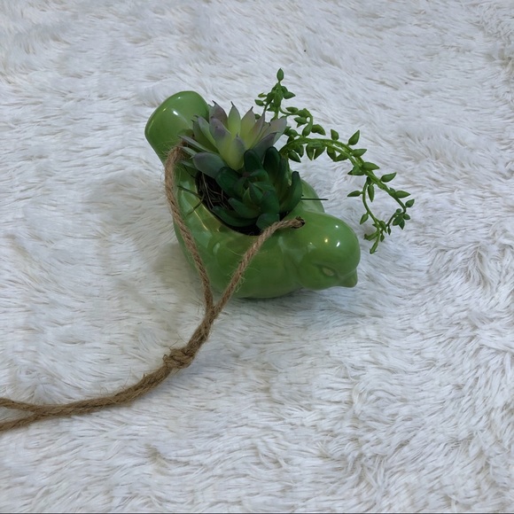 Other - Bird hanging green succulent arrangement